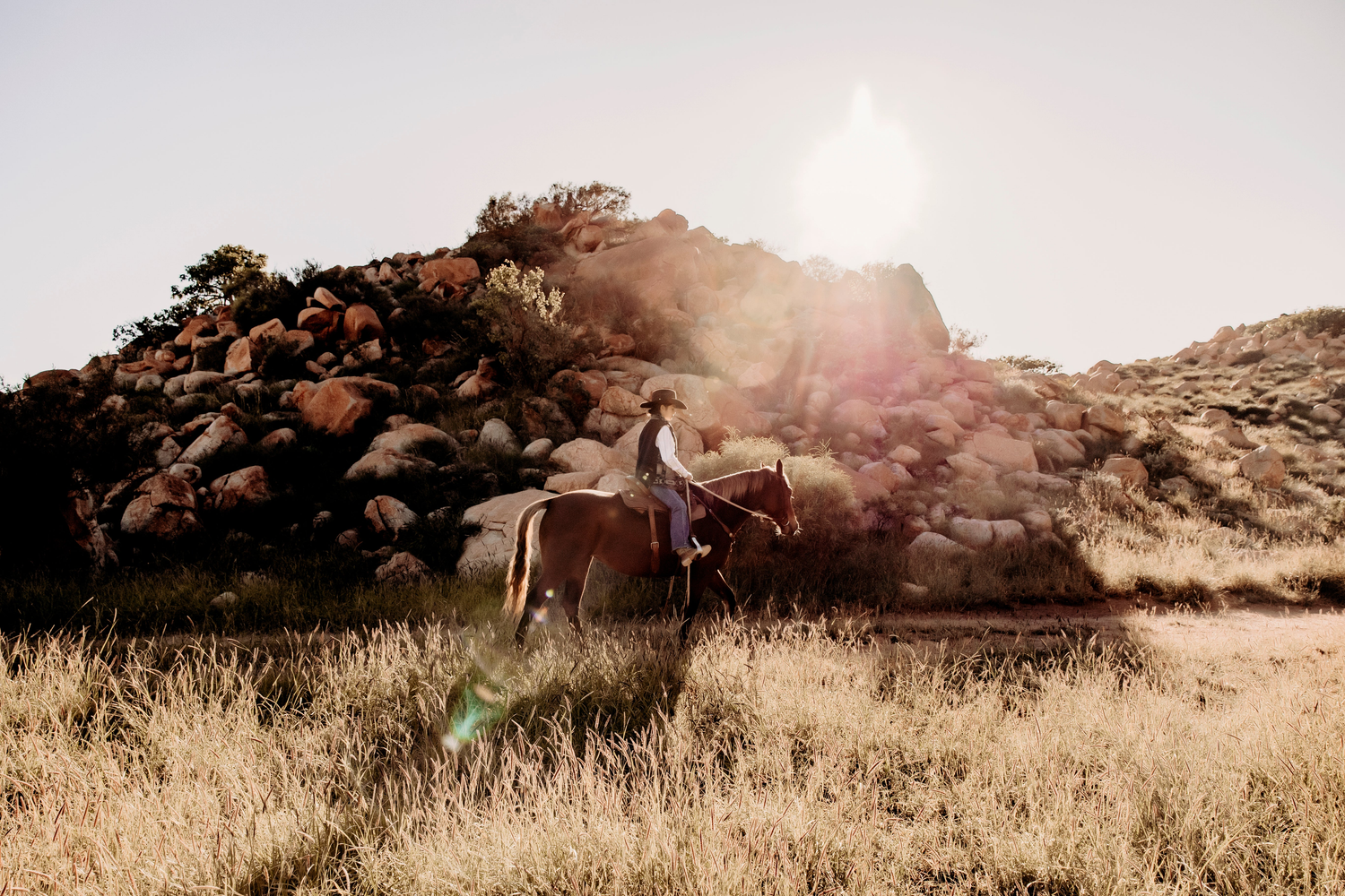 Hay & Chaff