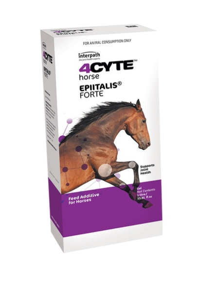 4CYTE EPIITALIS FORTE (Gel) 1L **PRE-ORDER**