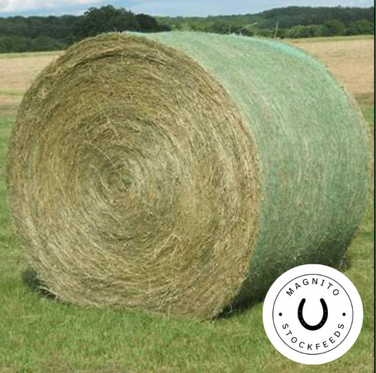 Rhodes Round Bale
