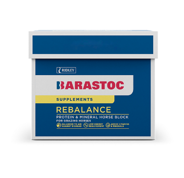 Rebalance Horse Block