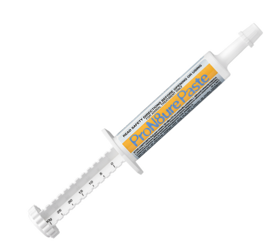 IAH ProN8ure Paste 30g Protexin
