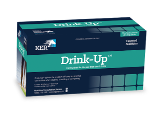 Kentucky Drink-Up 80g Sachet