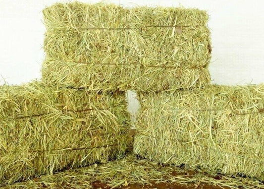 Meadow Hay Conventional Bale