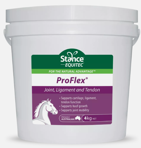 Stance Equitec Pro-Flex 2kg