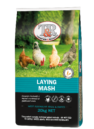 T&R Laying Mash