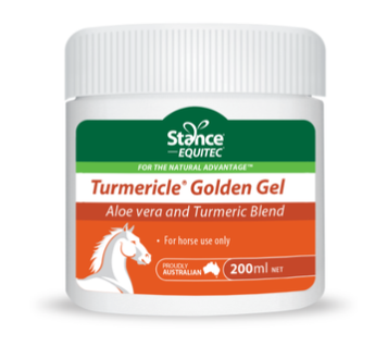 Stance Equitec Turmericle Golden Gel 200ml