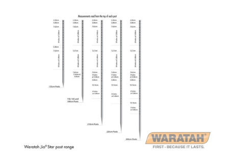 Waratah JIO Star Post 180cm (PRE ORDER)